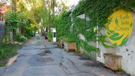 Accompagnement de Solon Collectif