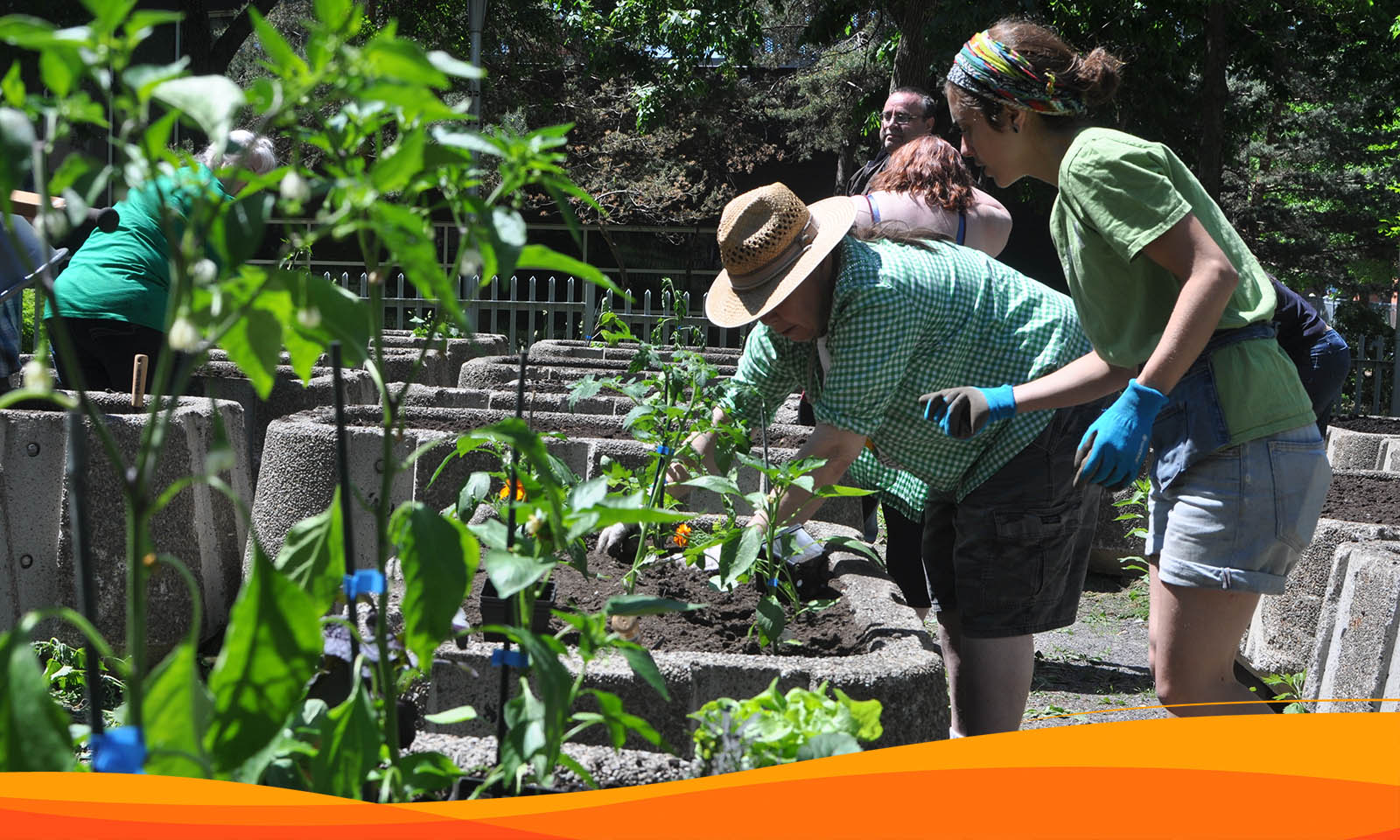 Jour de la Terre : chez soi, mais pour le bien commun