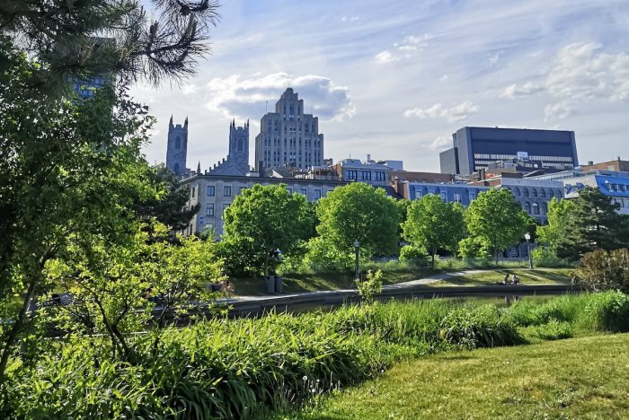 parc de Montréal