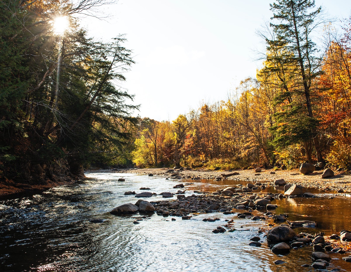 Demain le Québec fondation David Suzuki
