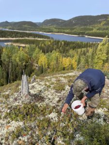 Sécurité alimentaire chez les Ilnus de Pessamit : laboratoire Nutshimiu-mitshim pour la mobilisation communautaire et l’adaptation aux changements climatiques